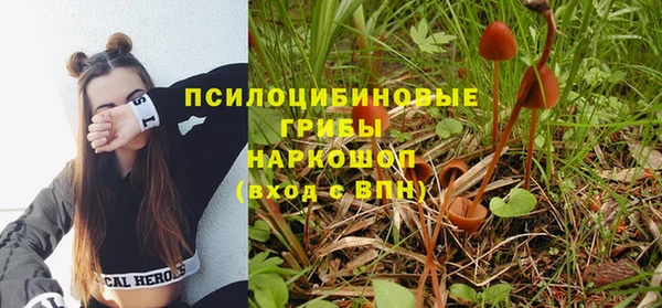 ПСИЛОЦИБИНОВЫЕ ГРИБЫ Аркадак