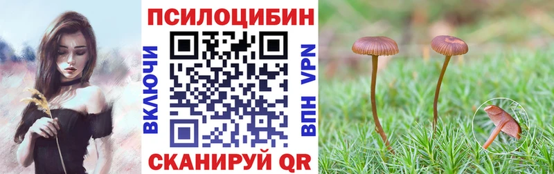 Галлюциногенные грибы мухоморы  где можно купить   Медынь 