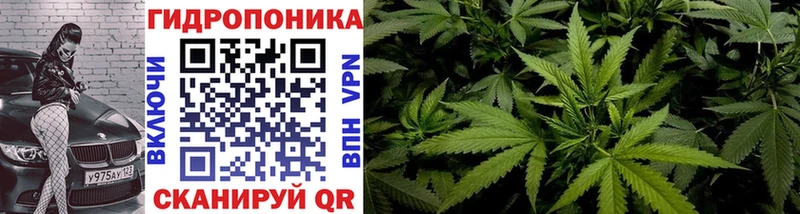 MEGA как зайти  Медынь  МАРИХУАНА AK-47 